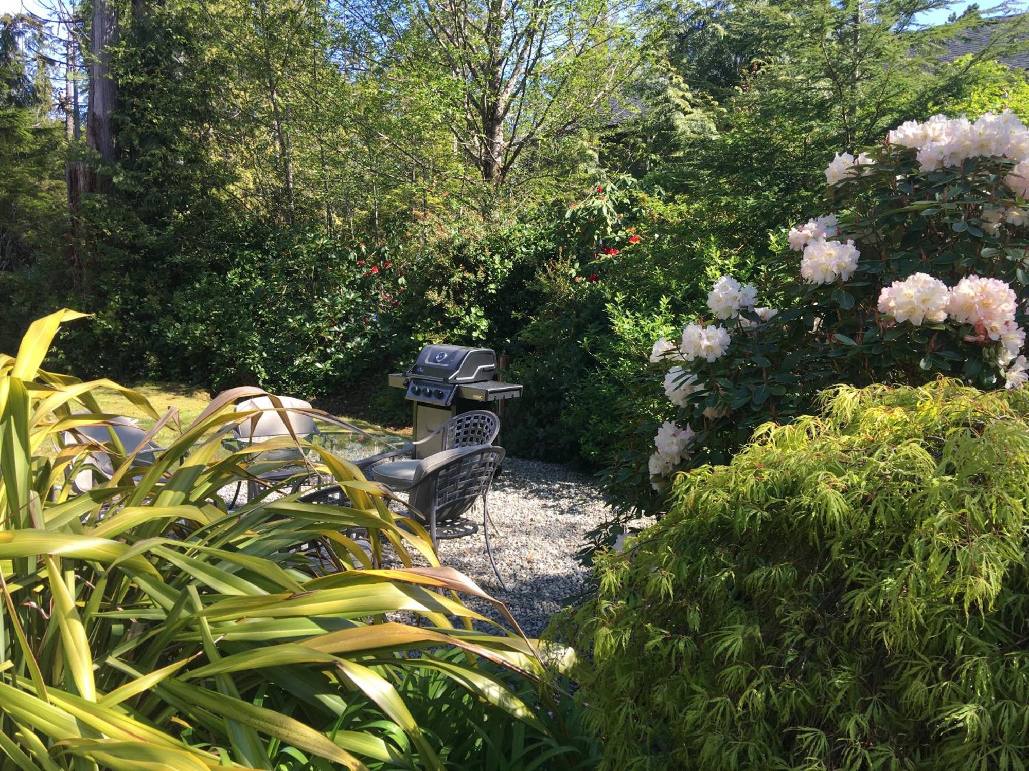 Cobble Wood And Bird Sanctuary Guest Houses Tofino Eksteriør billede