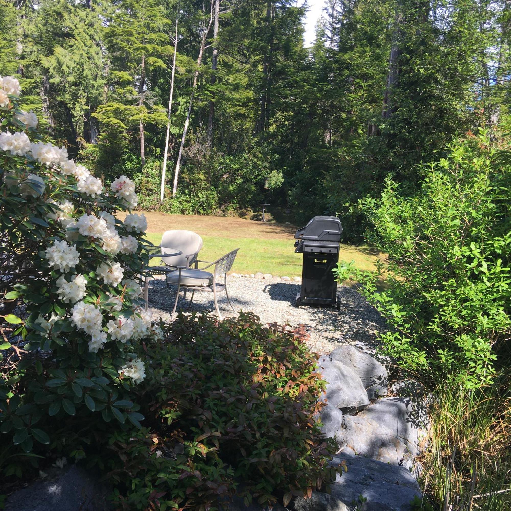 Cobble Wood And Bird Sanctuary Guest Houses Tofino Eksteriør billede